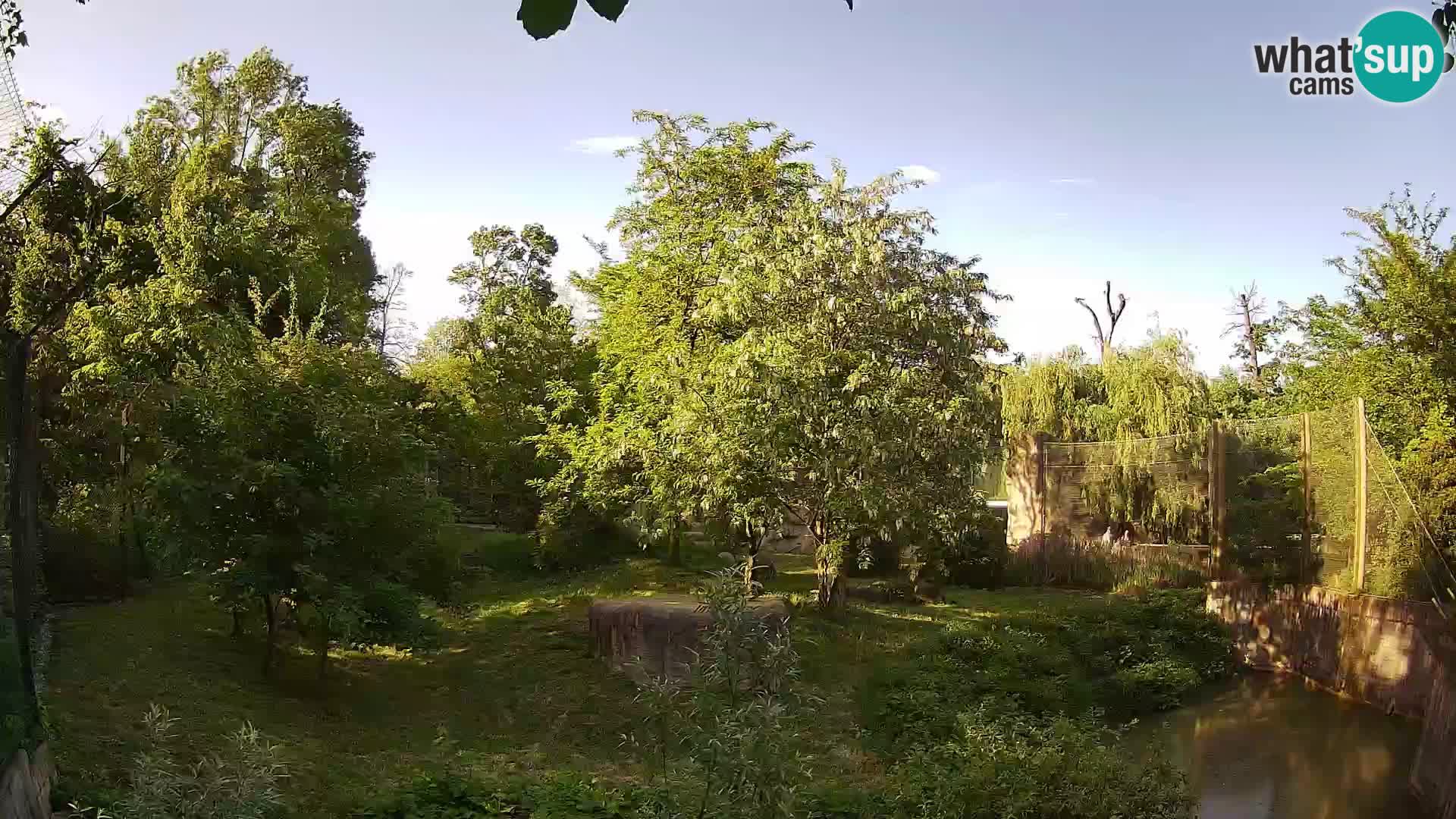 Zoo Zagreb – Löwen
