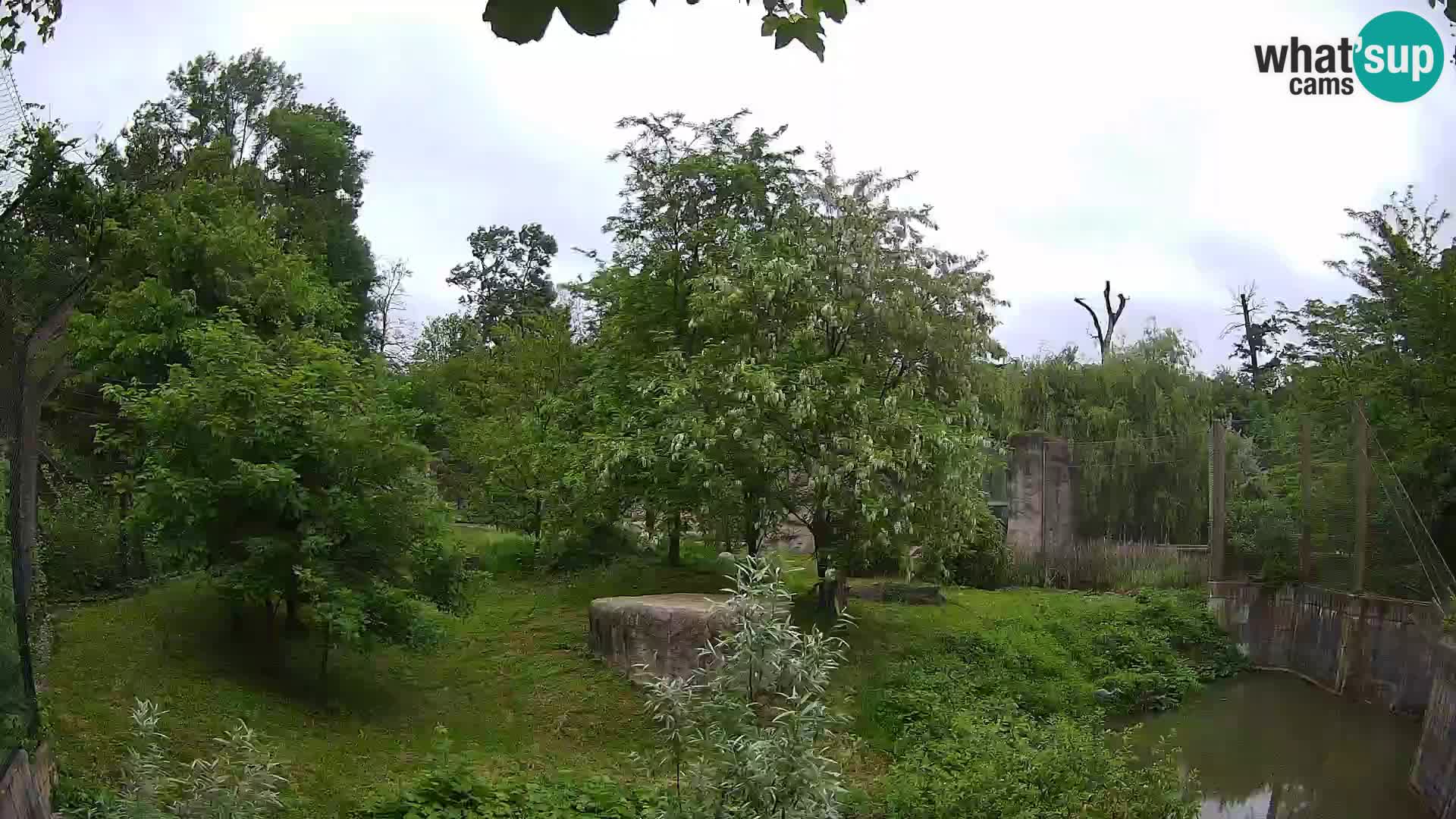 Zoo Zagreb – Leoni