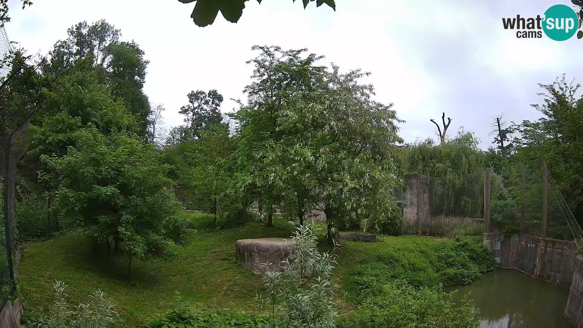 Zoo Zagreb – Lavovi