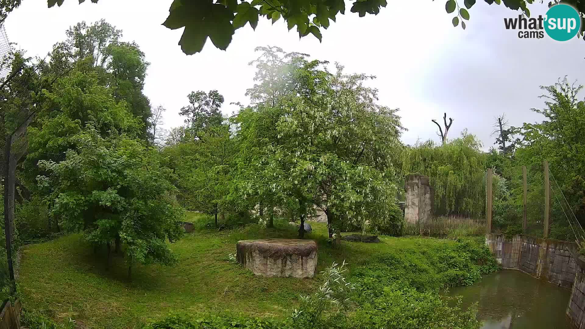 Zoo Zagreb – Leoni