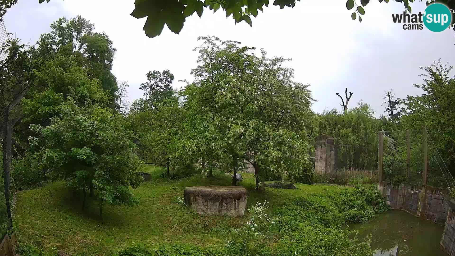 Zoo Zagreb – Leoni