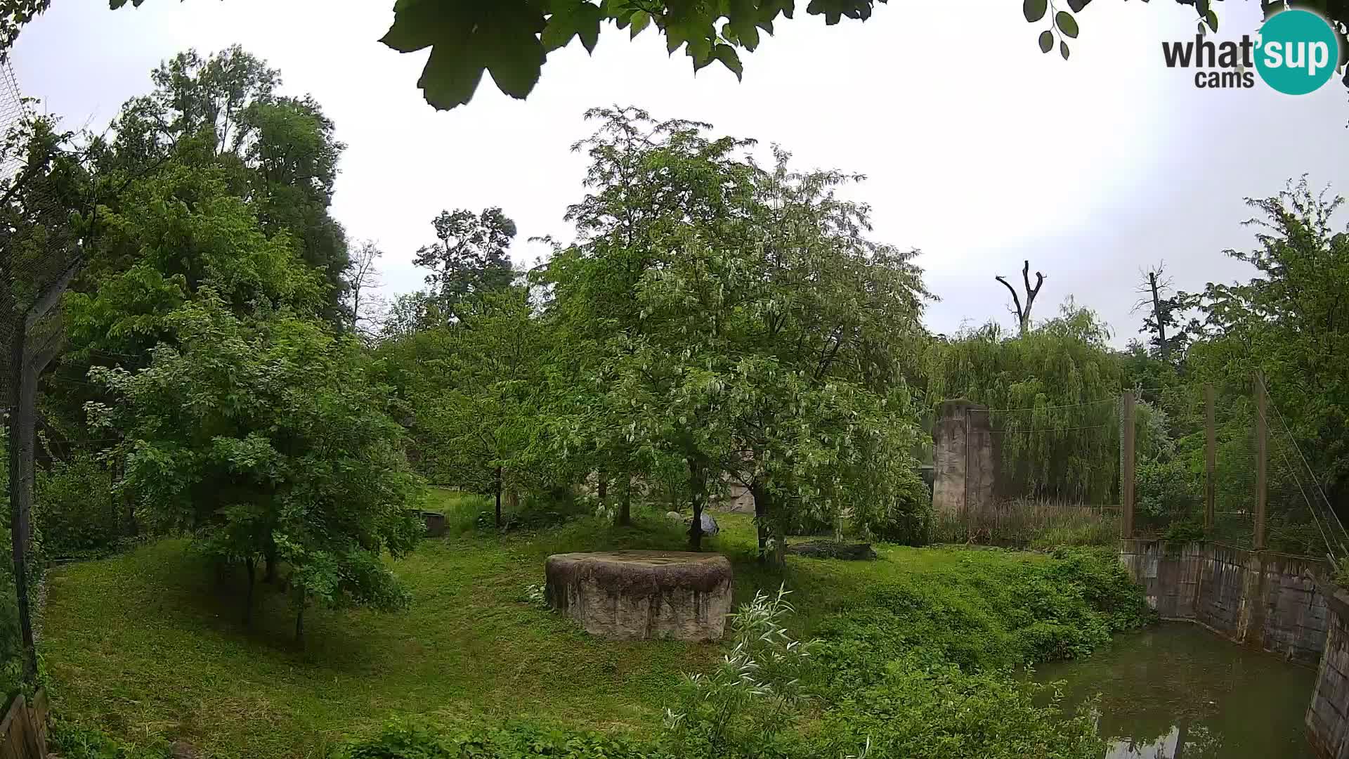 Zoo Zagreb – Leones