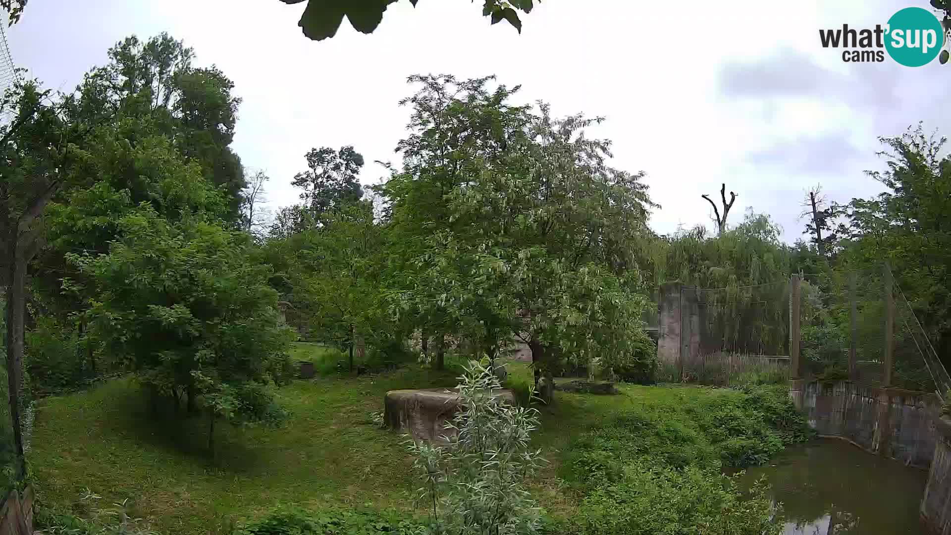 Zoo Zagreb – Leoni