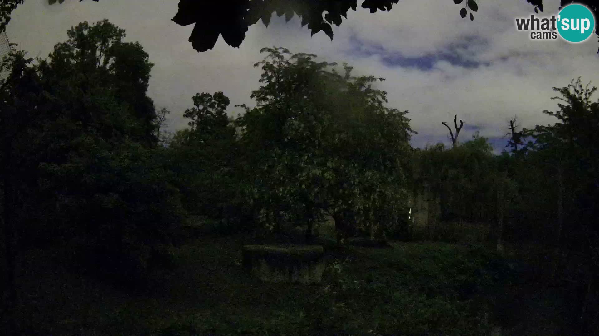 Zoo Zagreb – Leoni