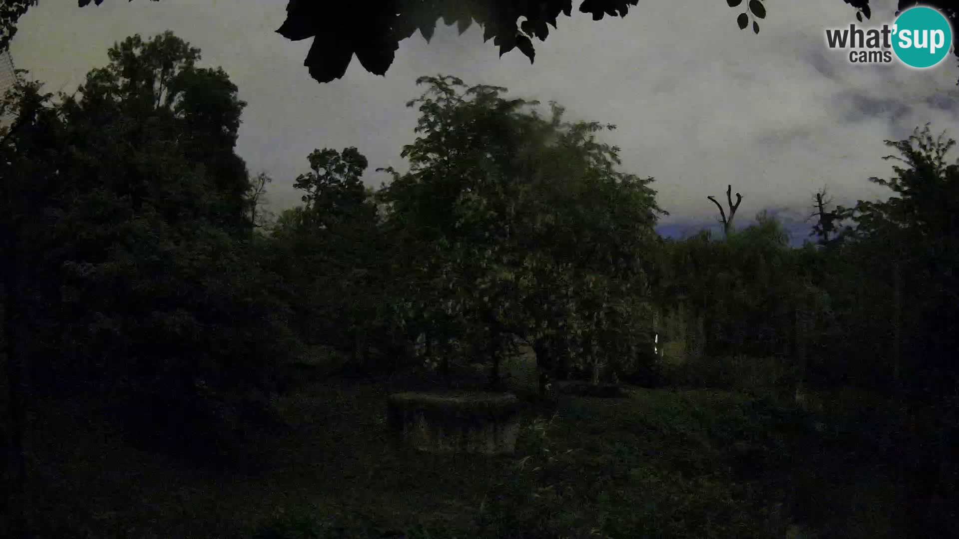 Zoo Zagreb – Löwen