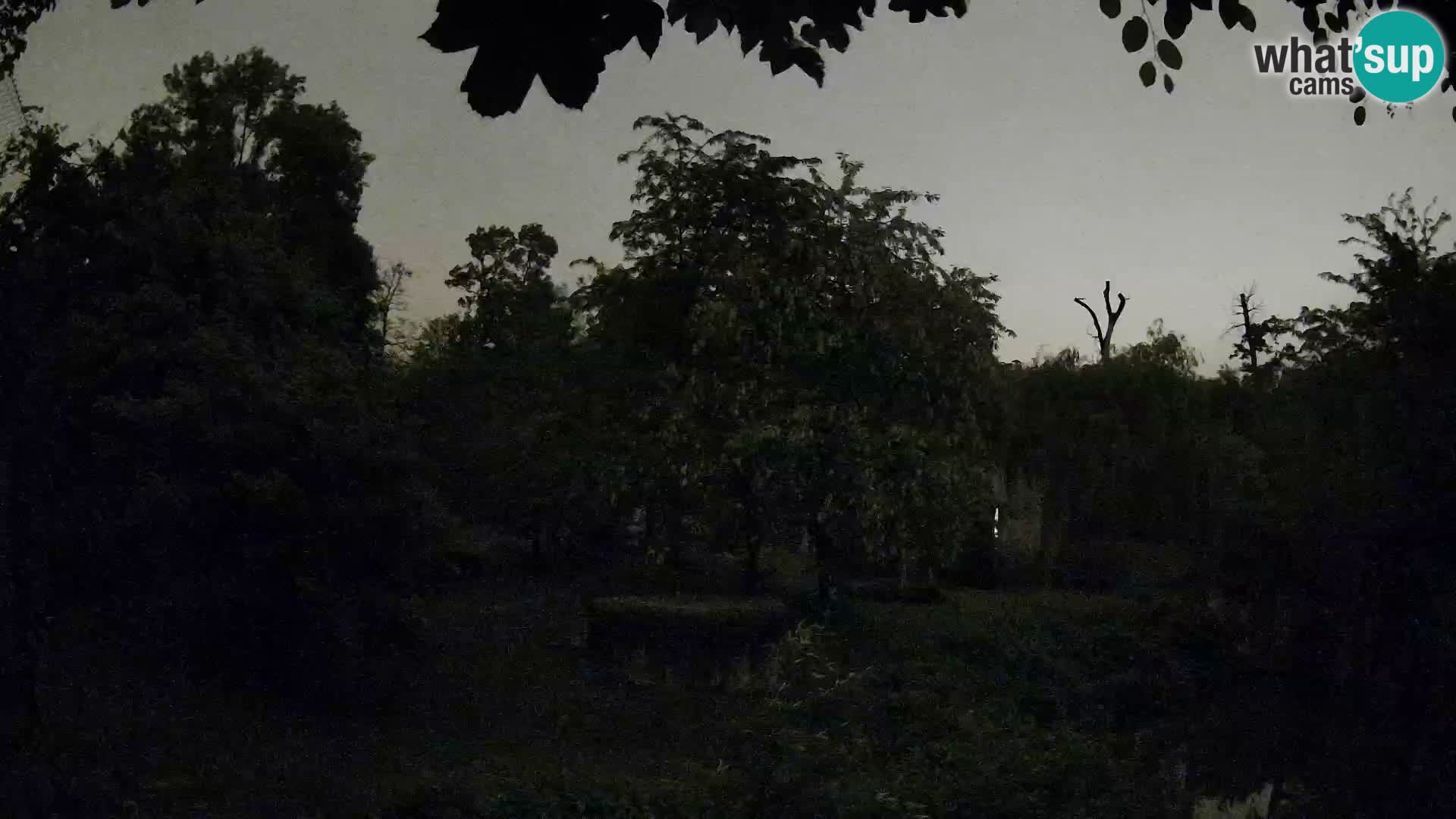 Zoo Zagreb – Lavovi