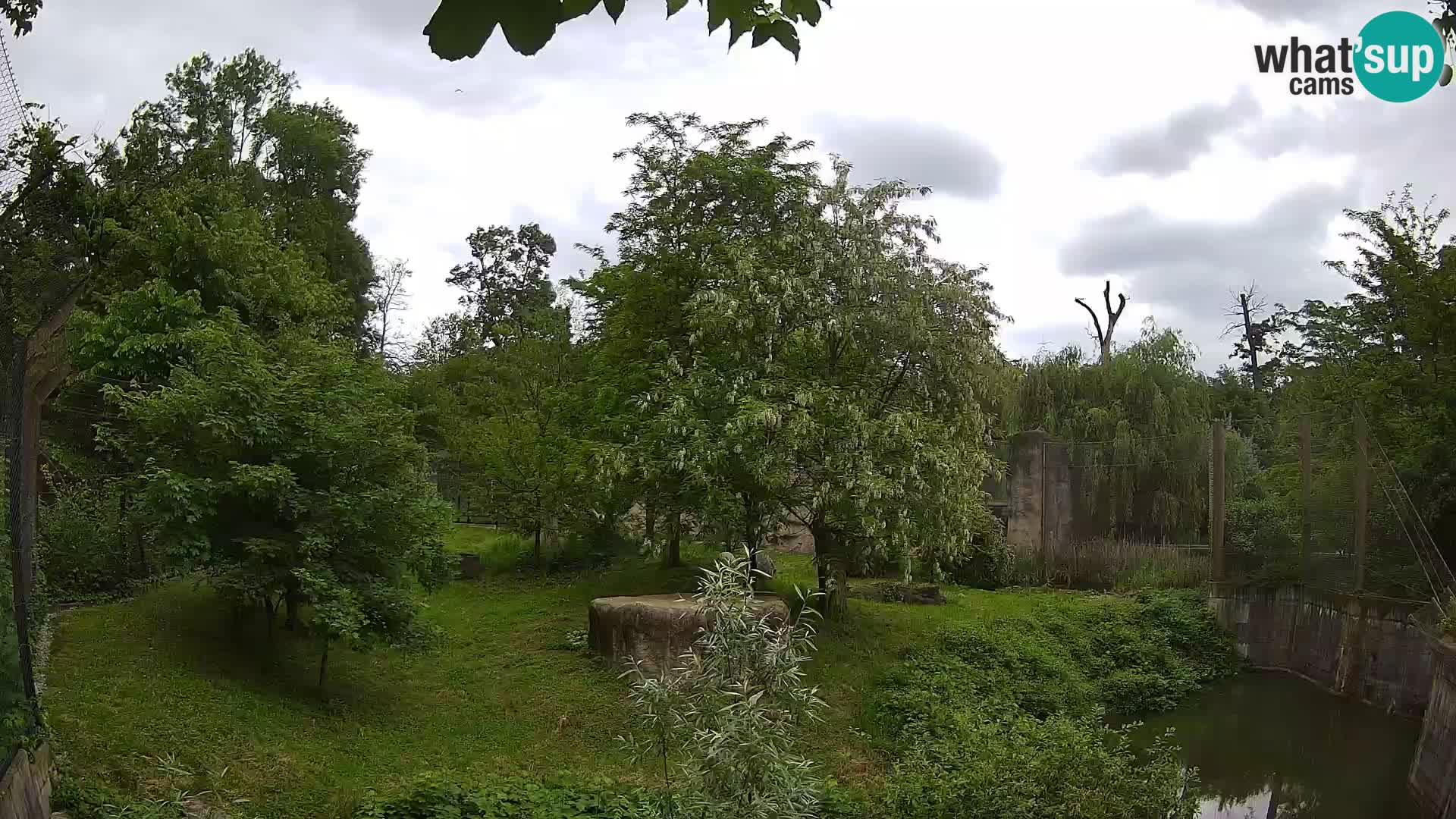 Zoo Zagreb – Leones