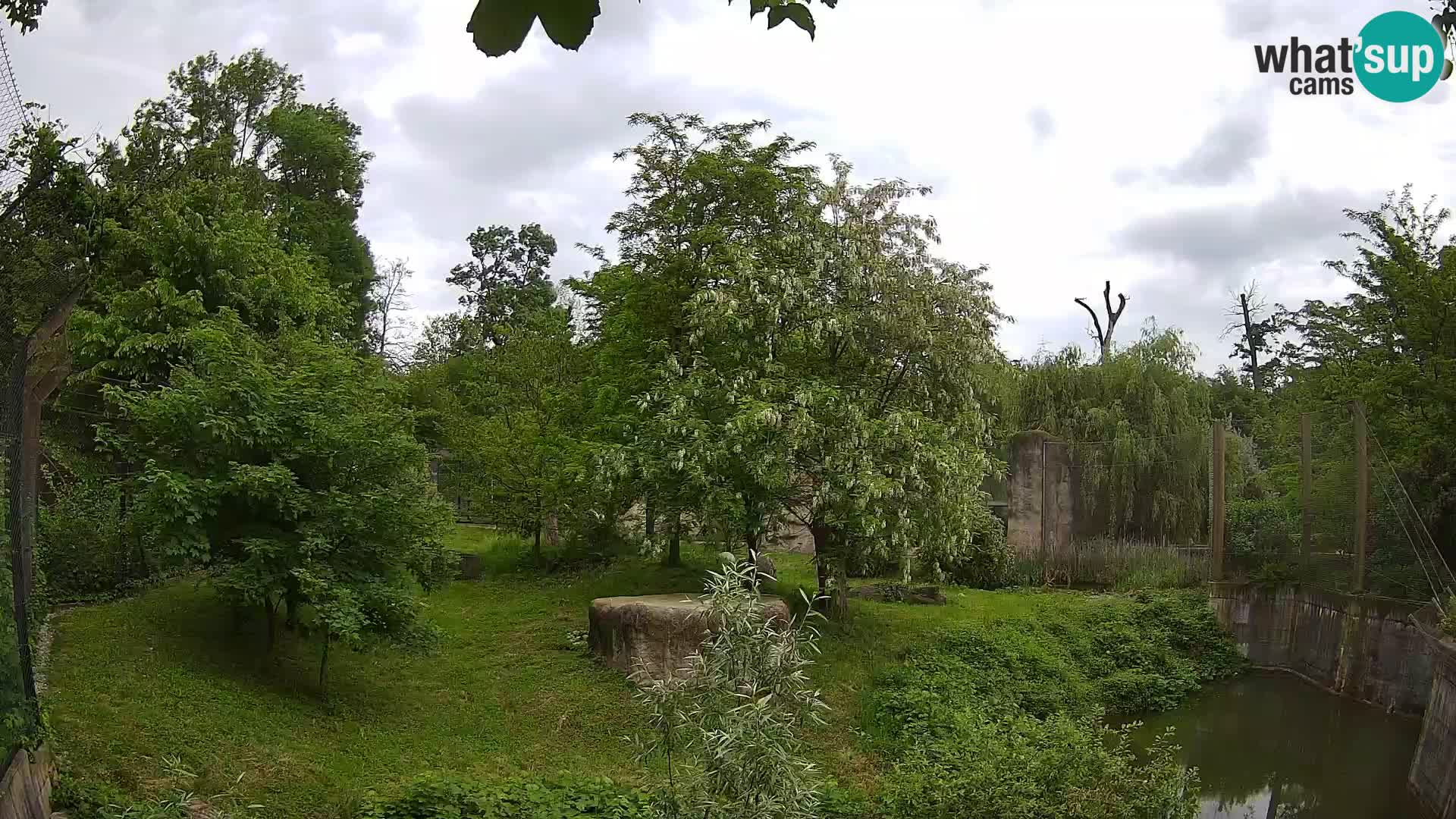 Zoo Zagreb – Löwen
