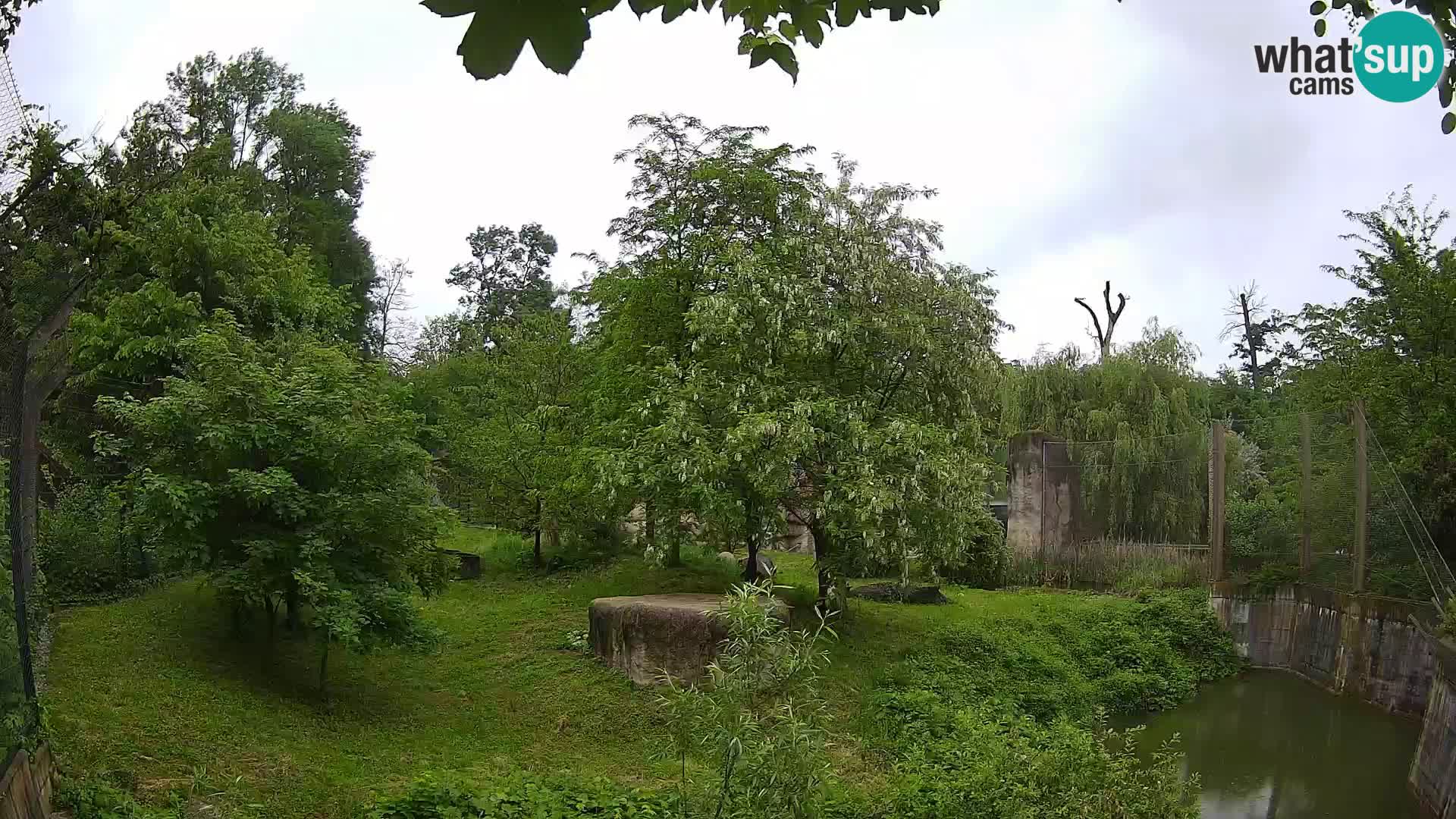 Zoo Zagreb – Löwen