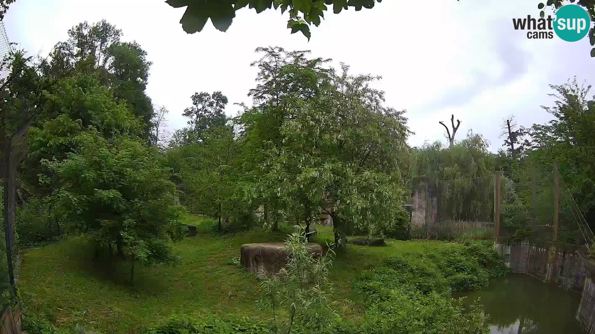 Zoo Zagreb – Löwen