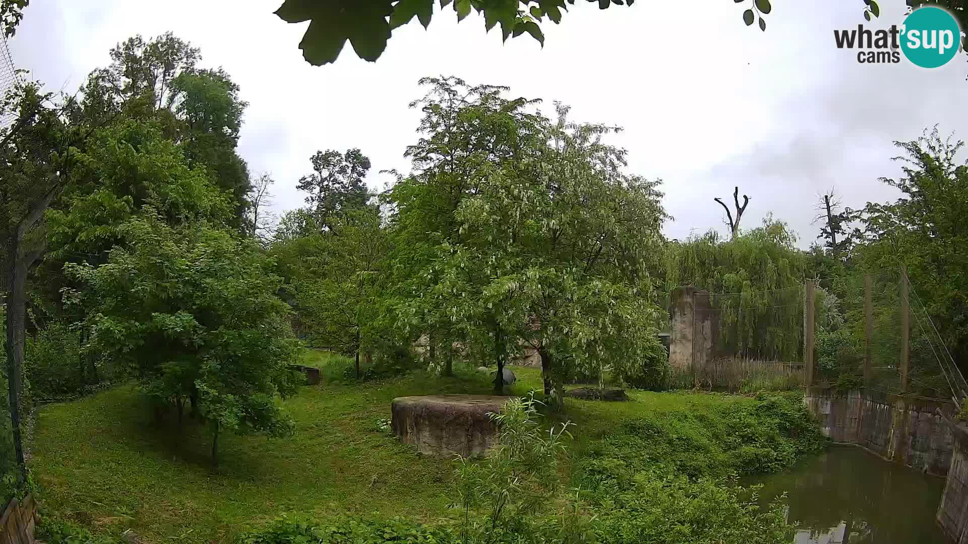 Zoo Zagreb – Leoni