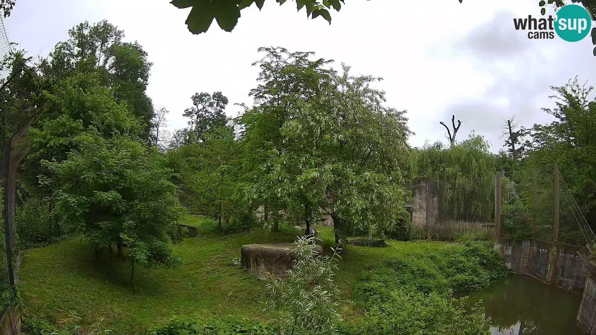 Zoo Zagreb – Leoni