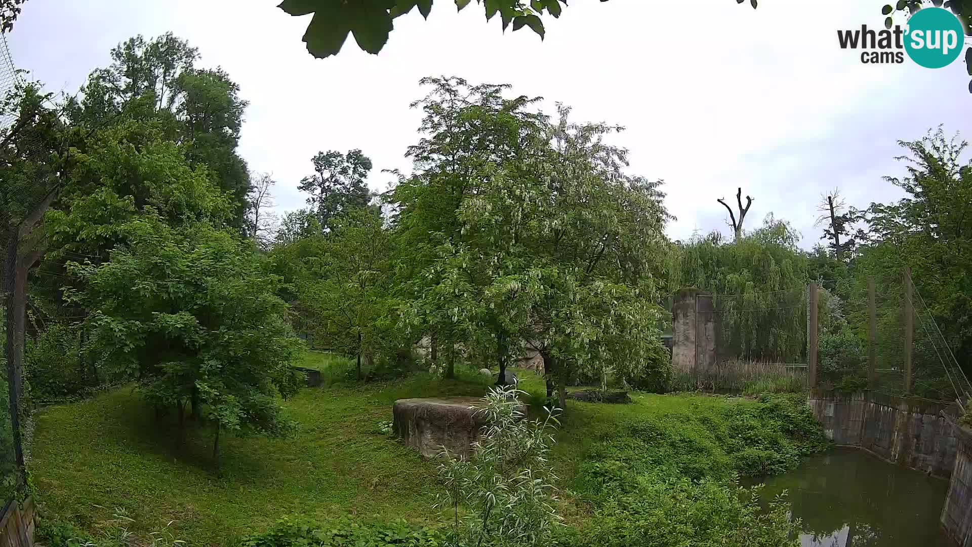 Zoo Zagreb – Leoni