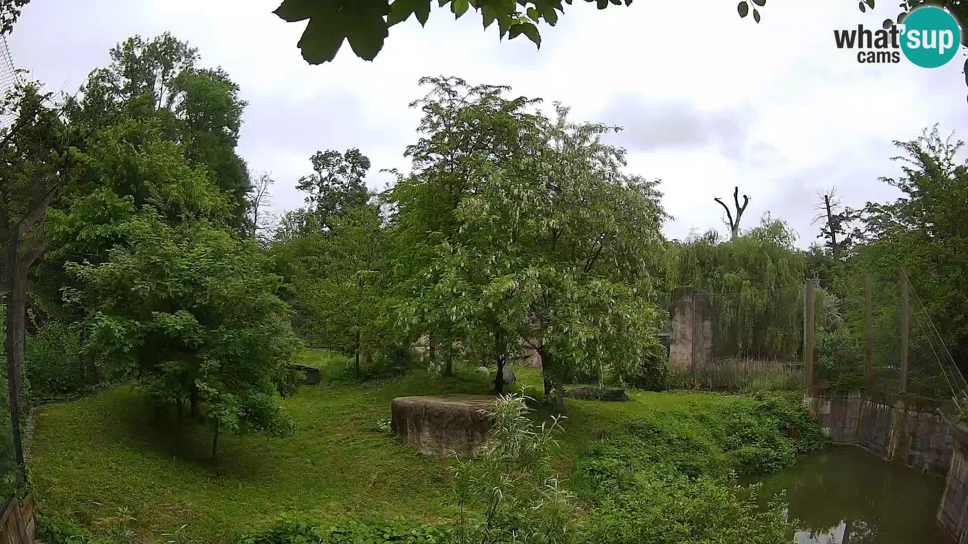 Zoo Zagreb – Leones