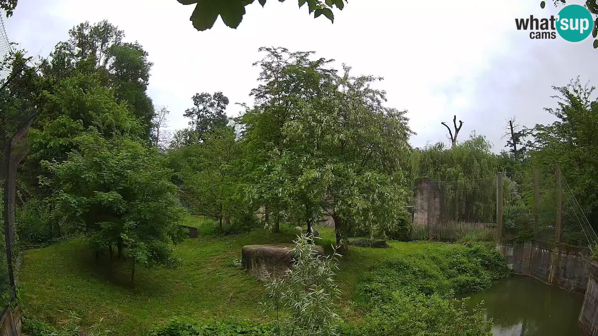Zoo Zagreb – Löwen