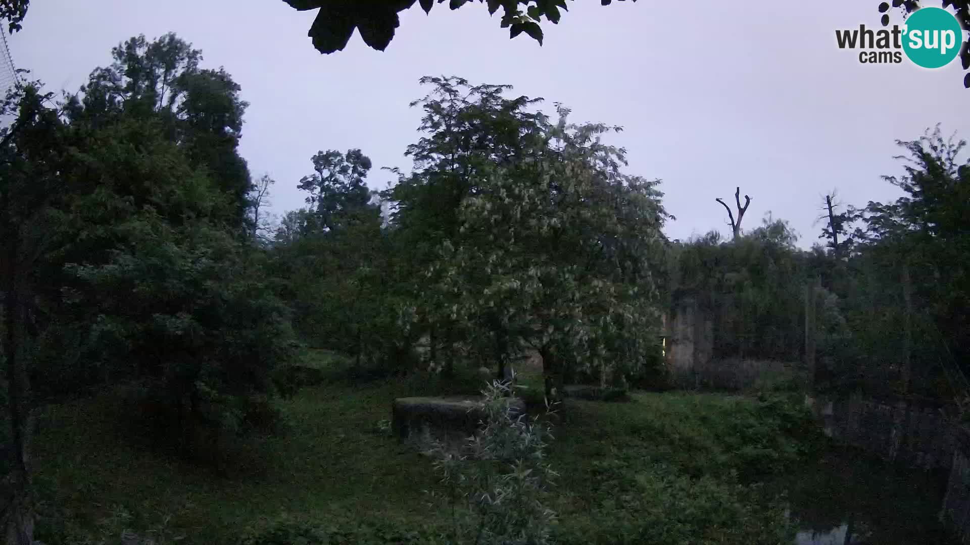 Zoo Zagreb – Löwen