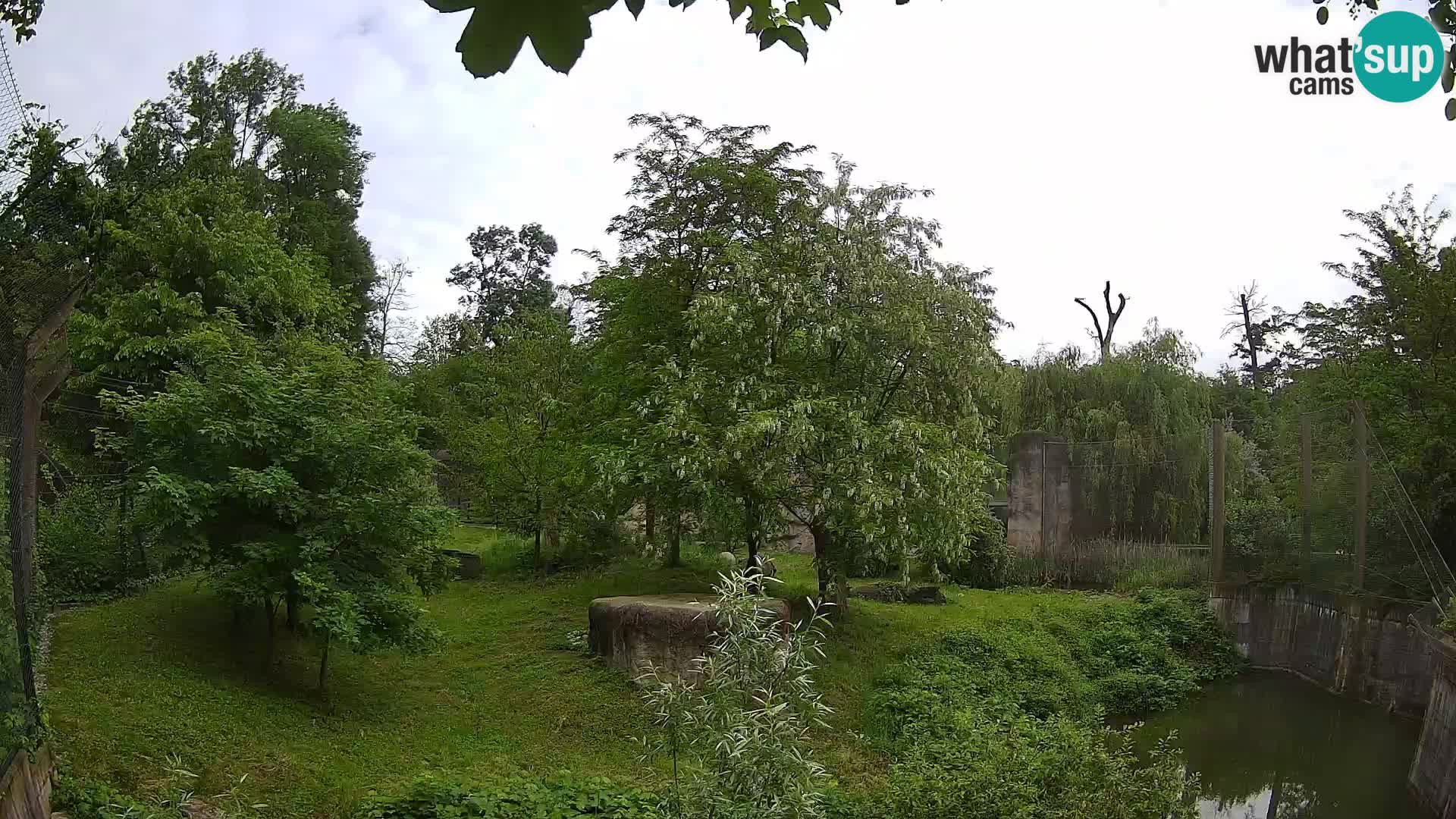 Zoo Zagreb – Leones