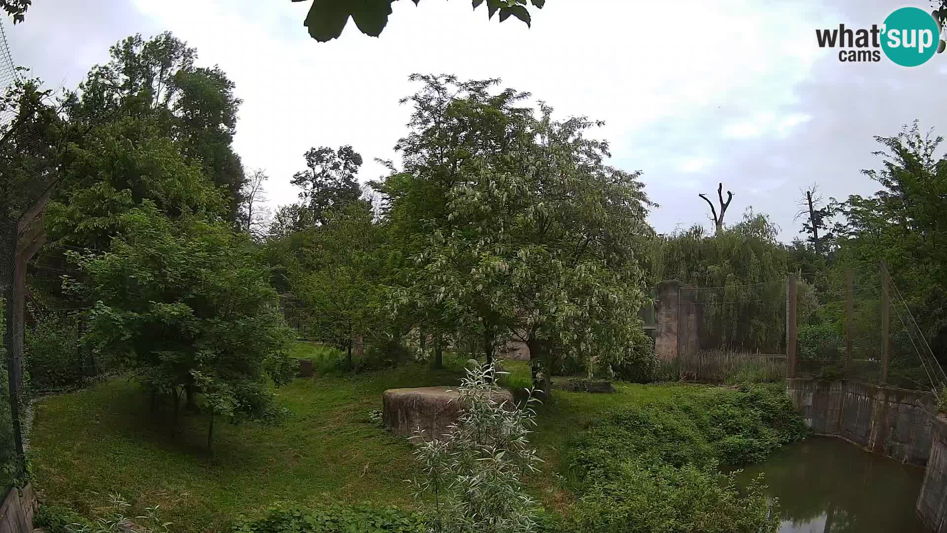 Zoo Zagreb – Löwen