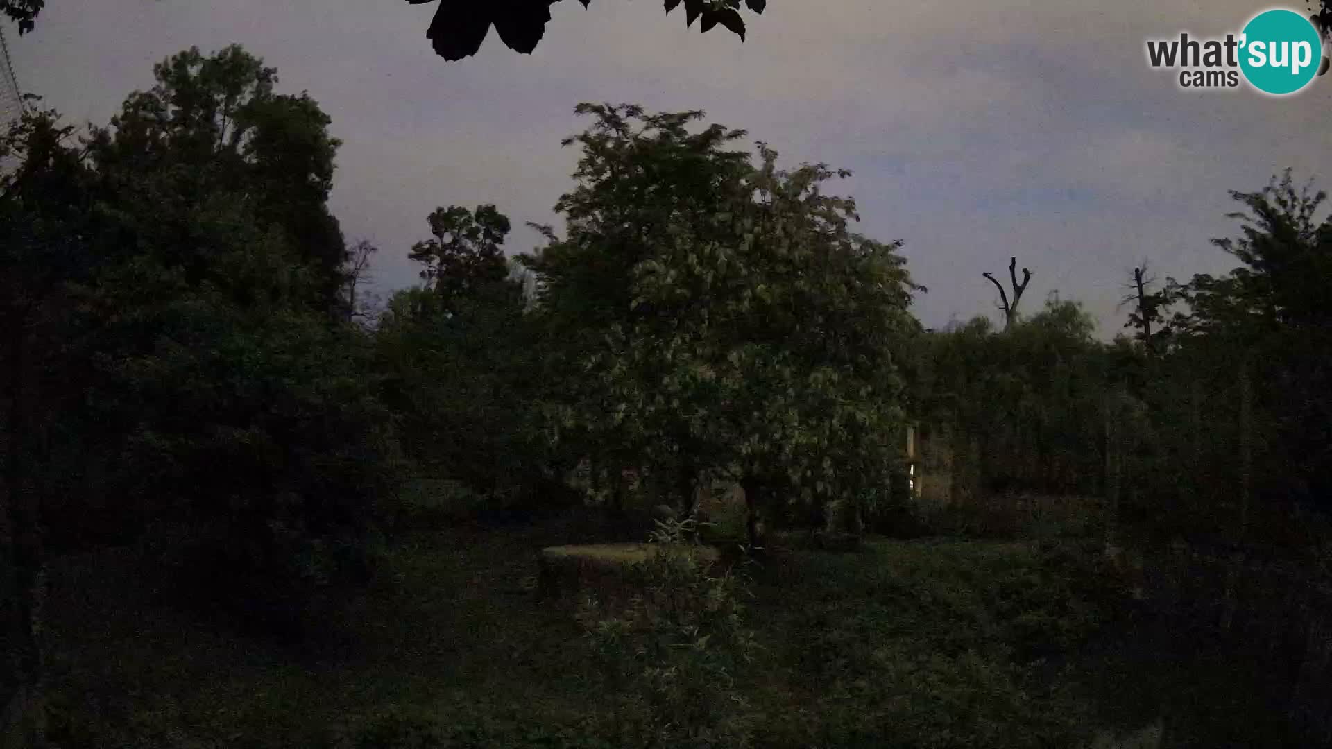 Zoo Zagreb – Löwen