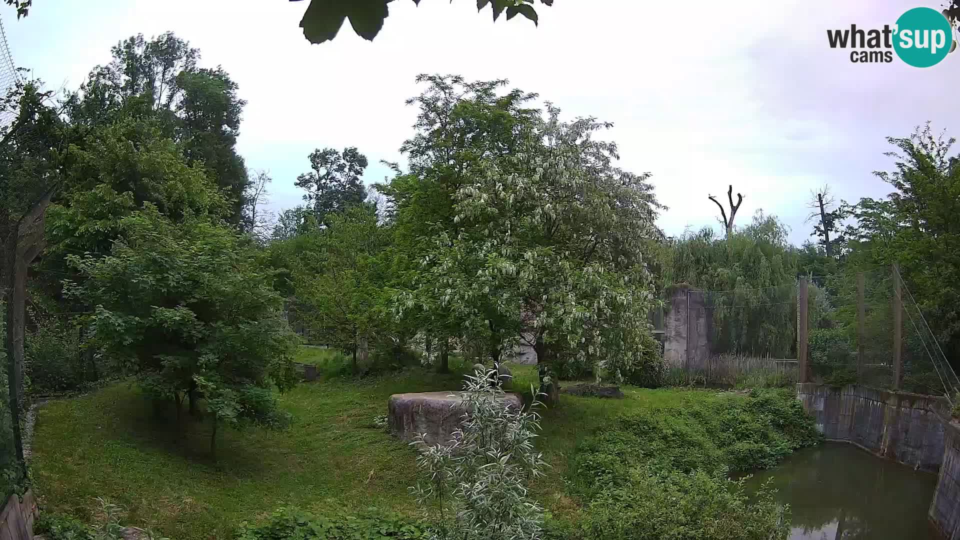 Zoo Zagreb – Leoni