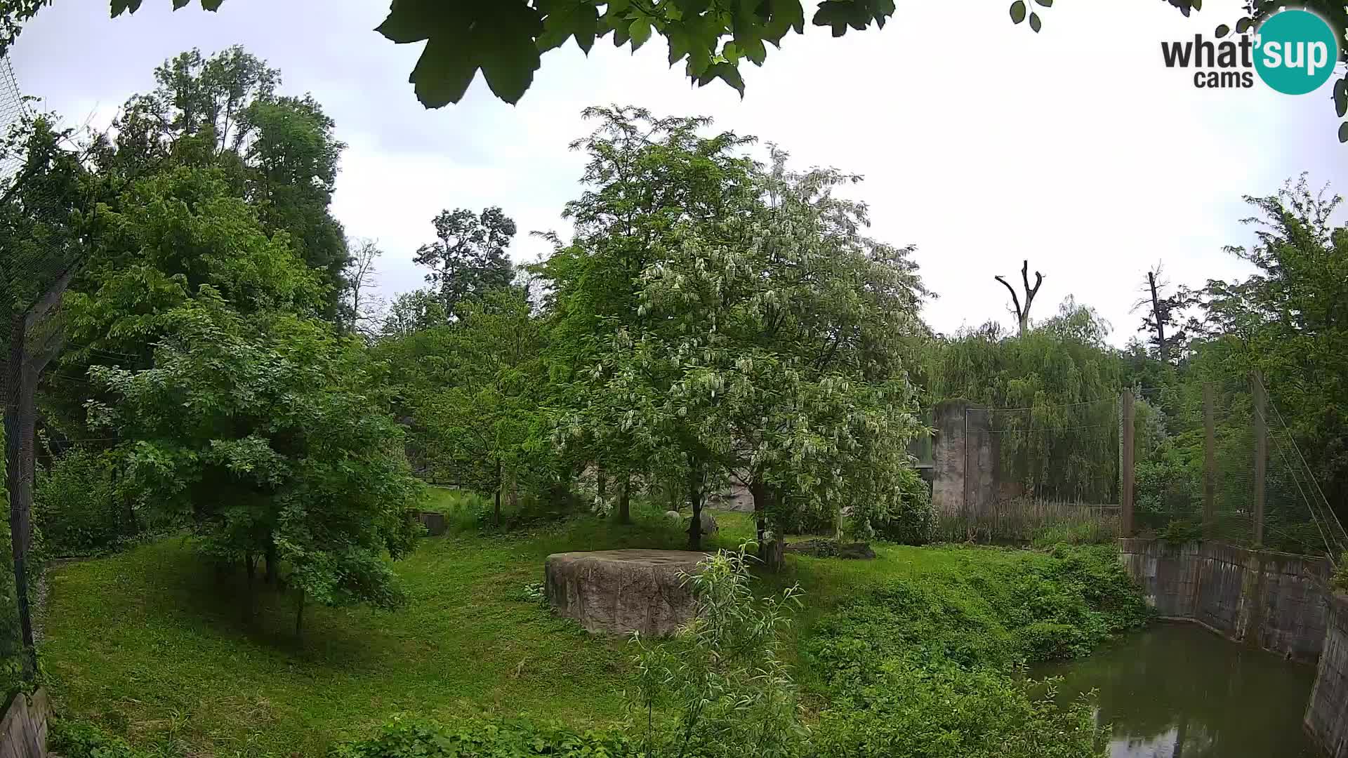 Zoo Zagreb – Löwen