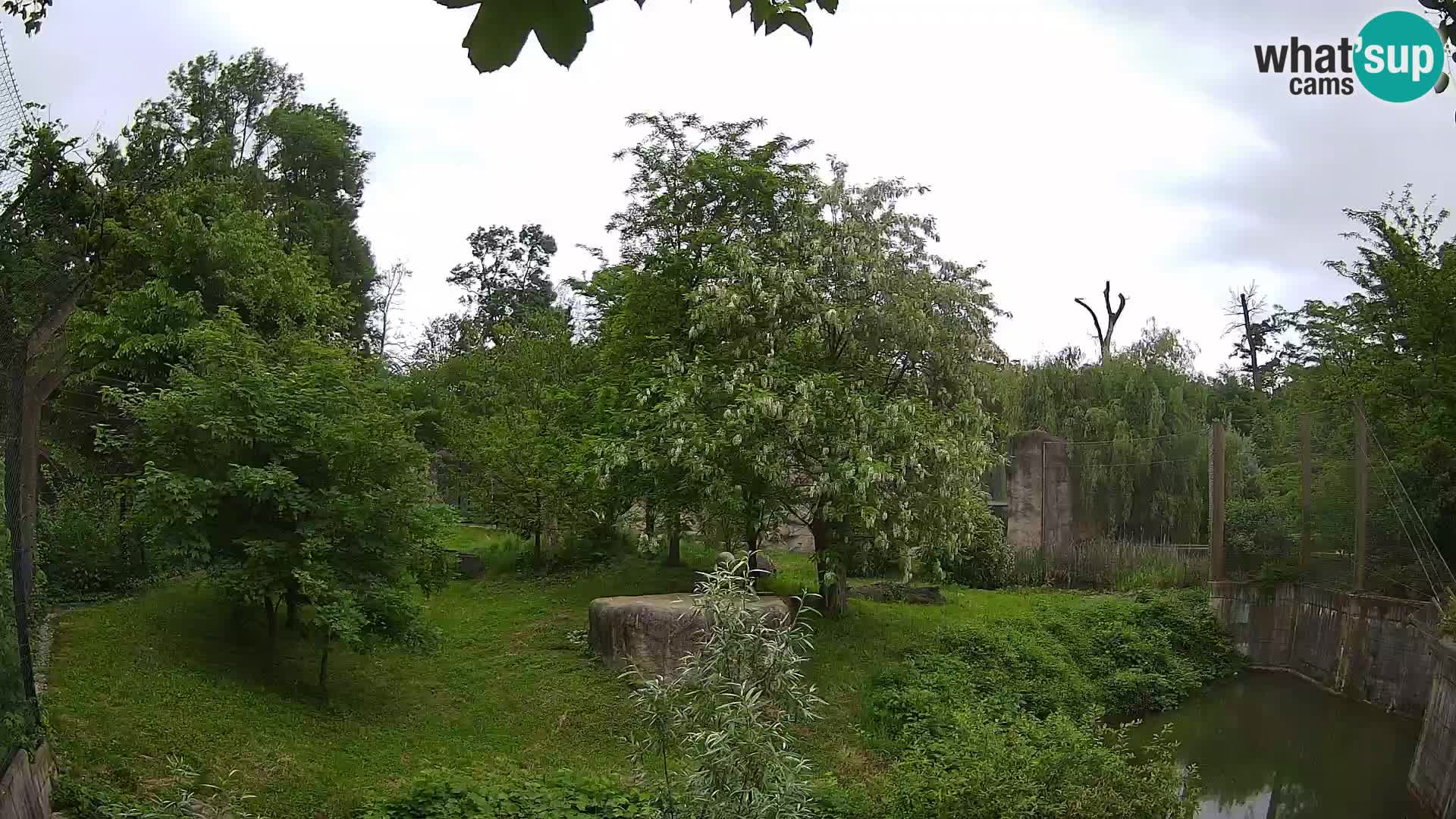Zoo Zagreb – Leones