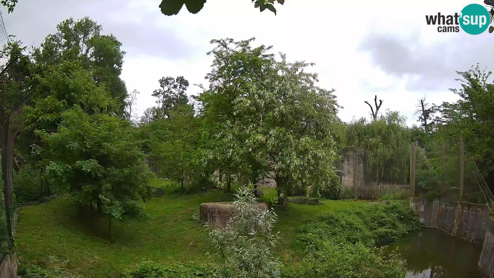 Zoo Zagreb – Löwen