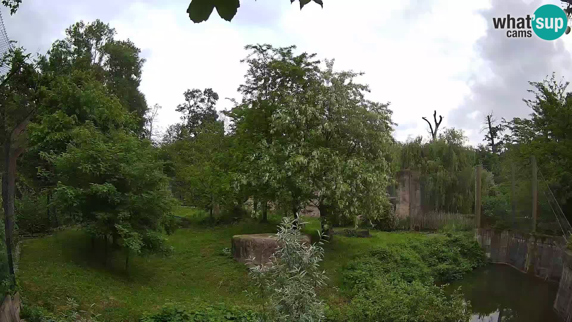 Zoo Zagreb – Leones