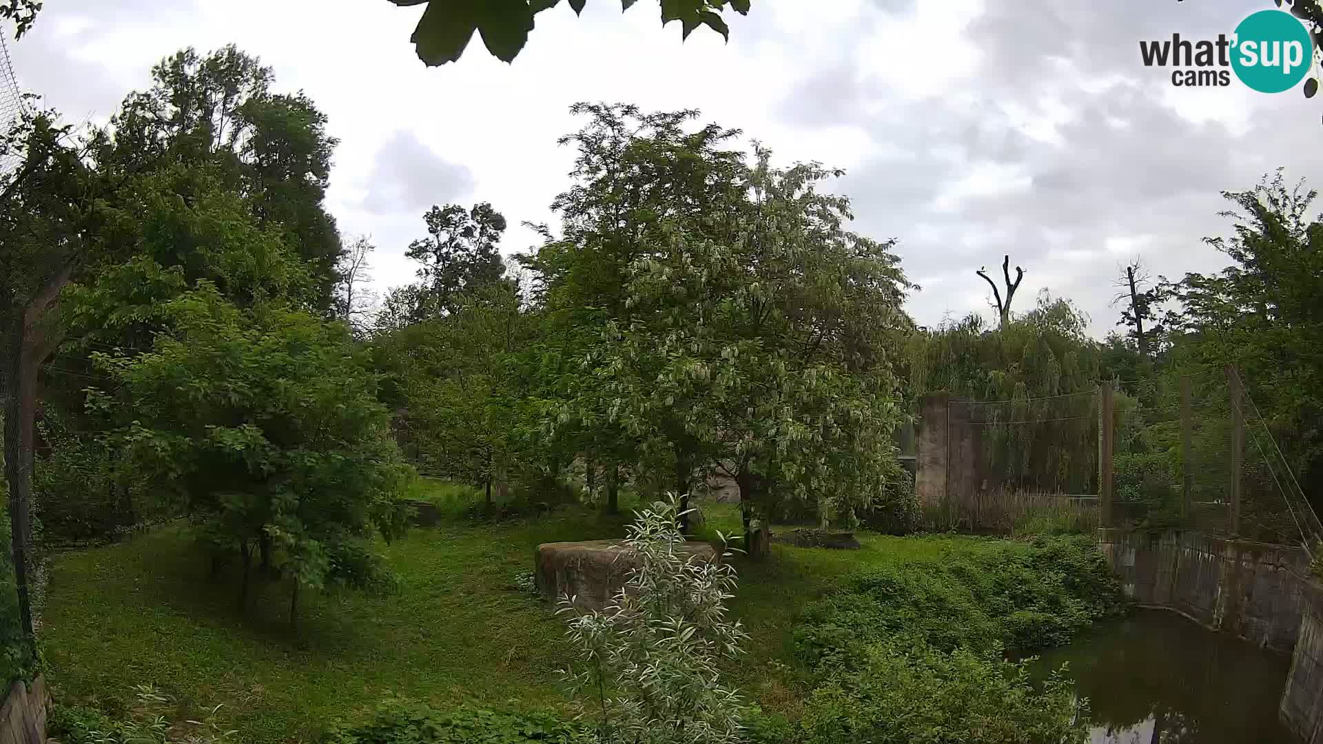 Zoo Zagreb – Löwen