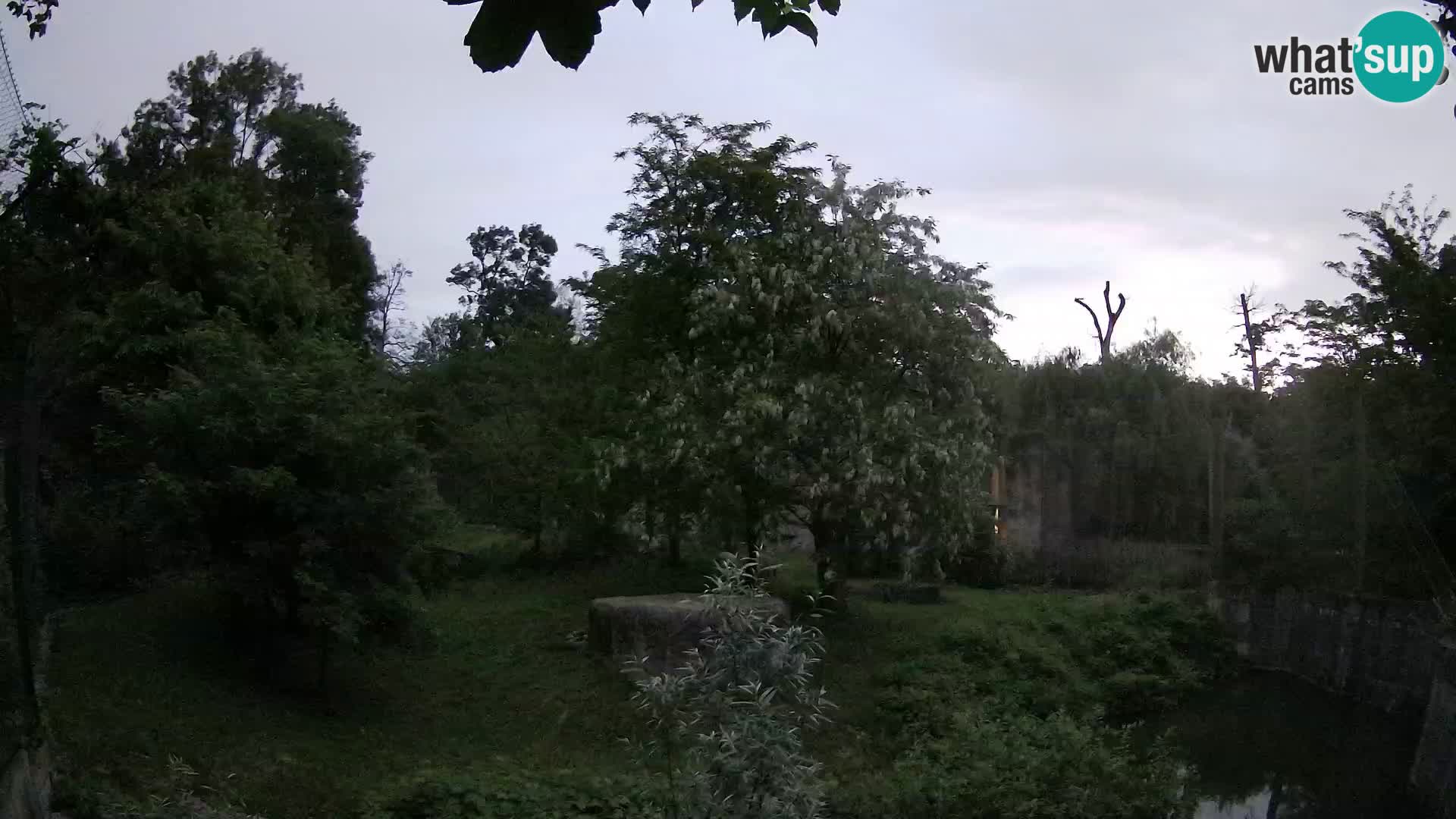 Zoo Zagreb – Löwen