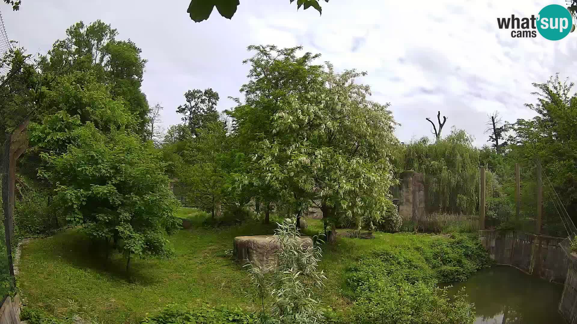 Zoo Zagreb – Löwen