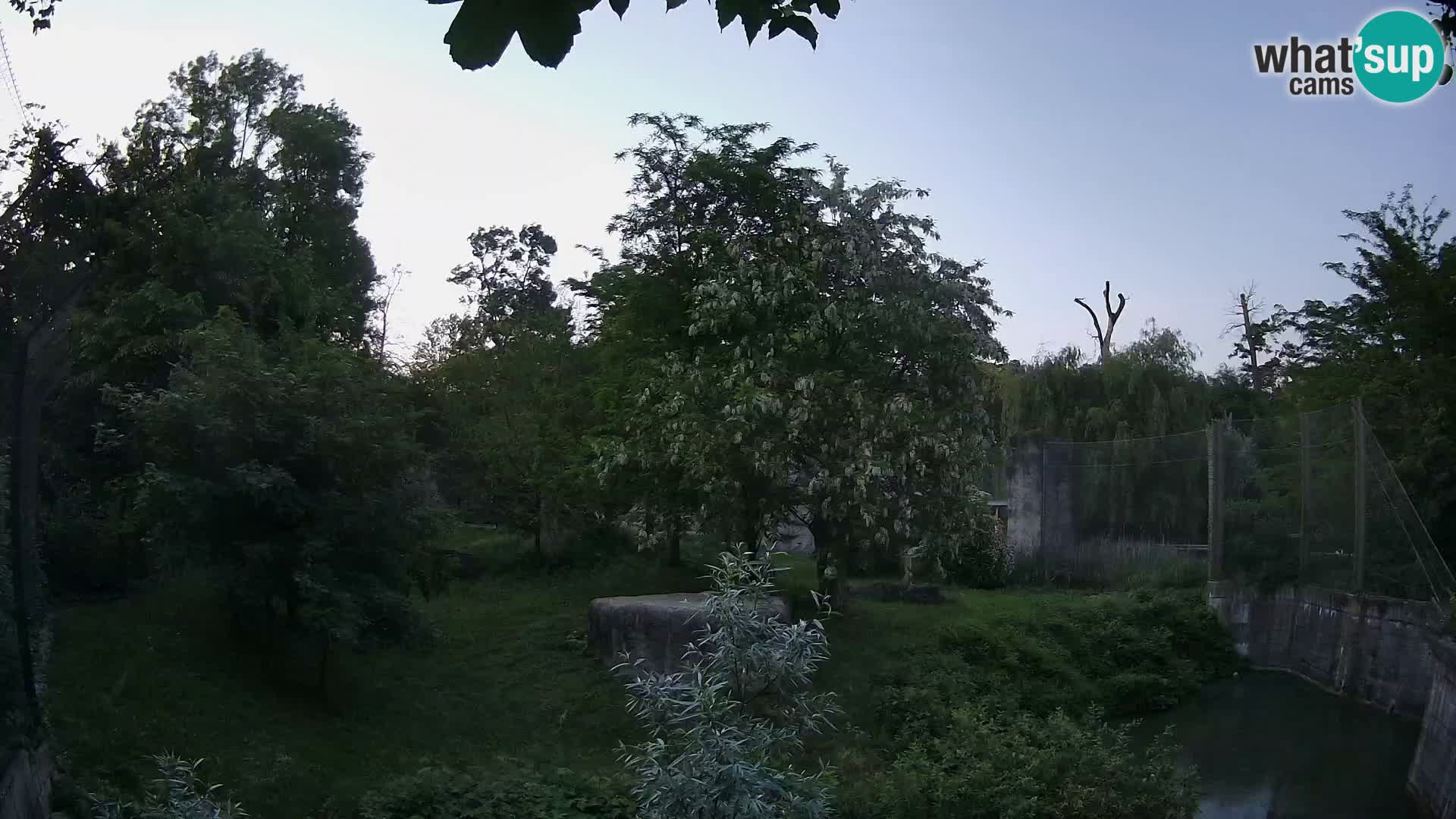 Zoo Zagreb – Leoni