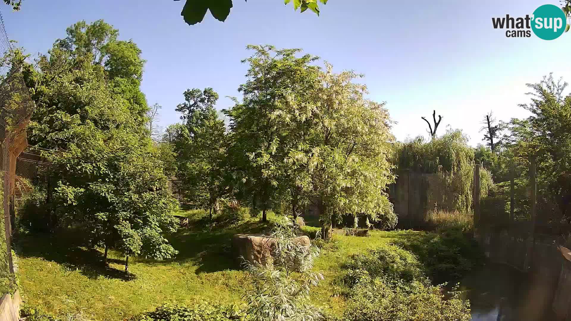 Zoo Zagreb – Löwen