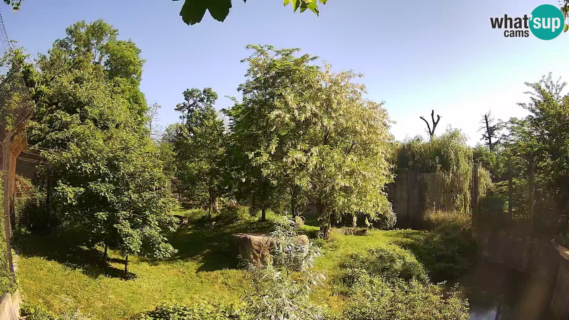 Zoo Zagreb – Löwen