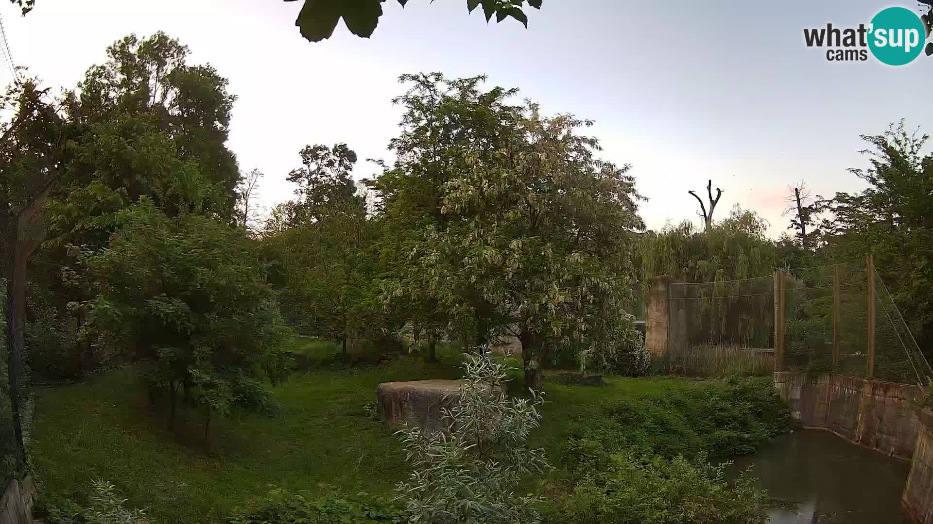 Zoo Zagreb – Lavovi