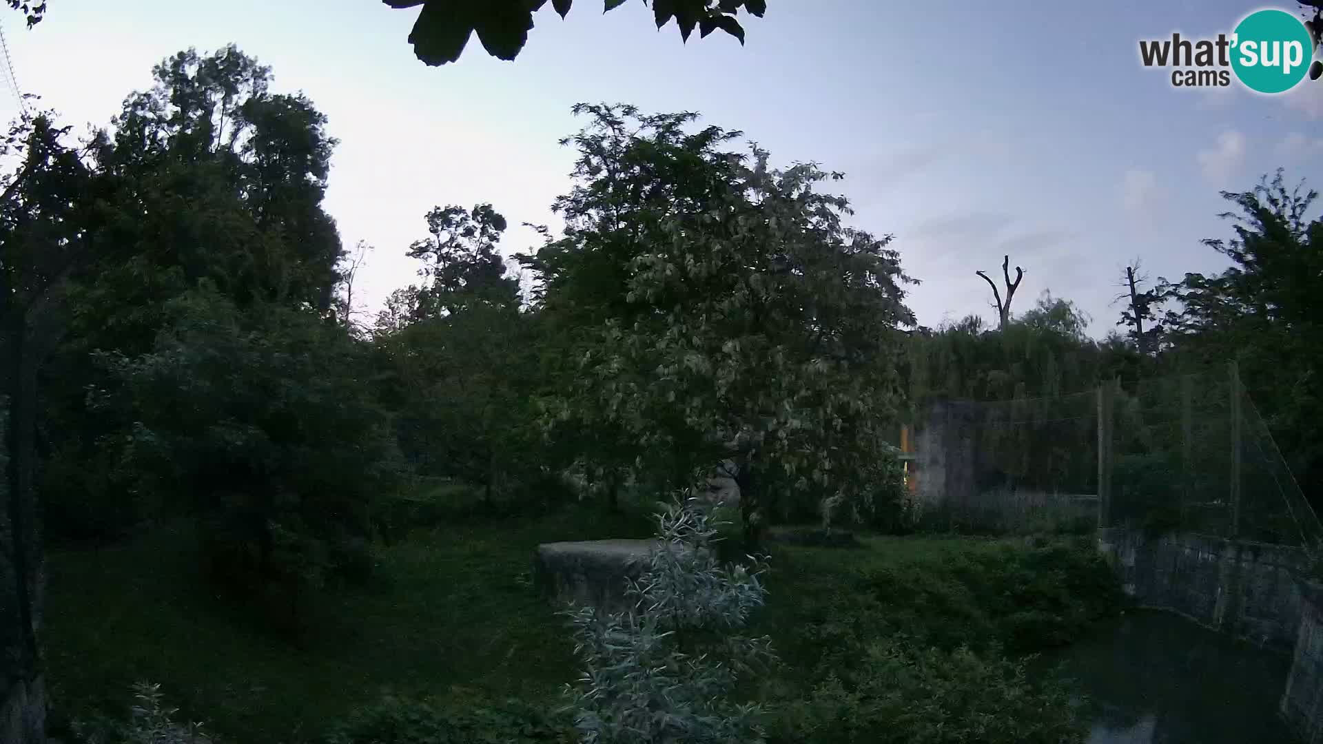 Zoo Zagreb – Leoni