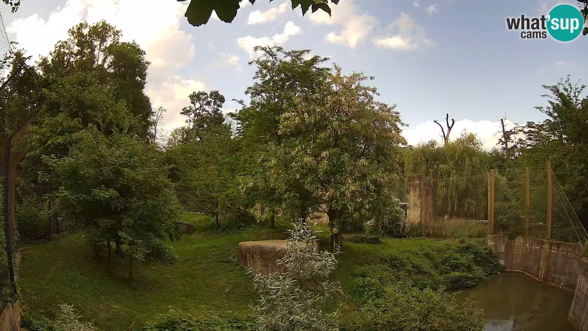 Zoo Zagreb – Lion