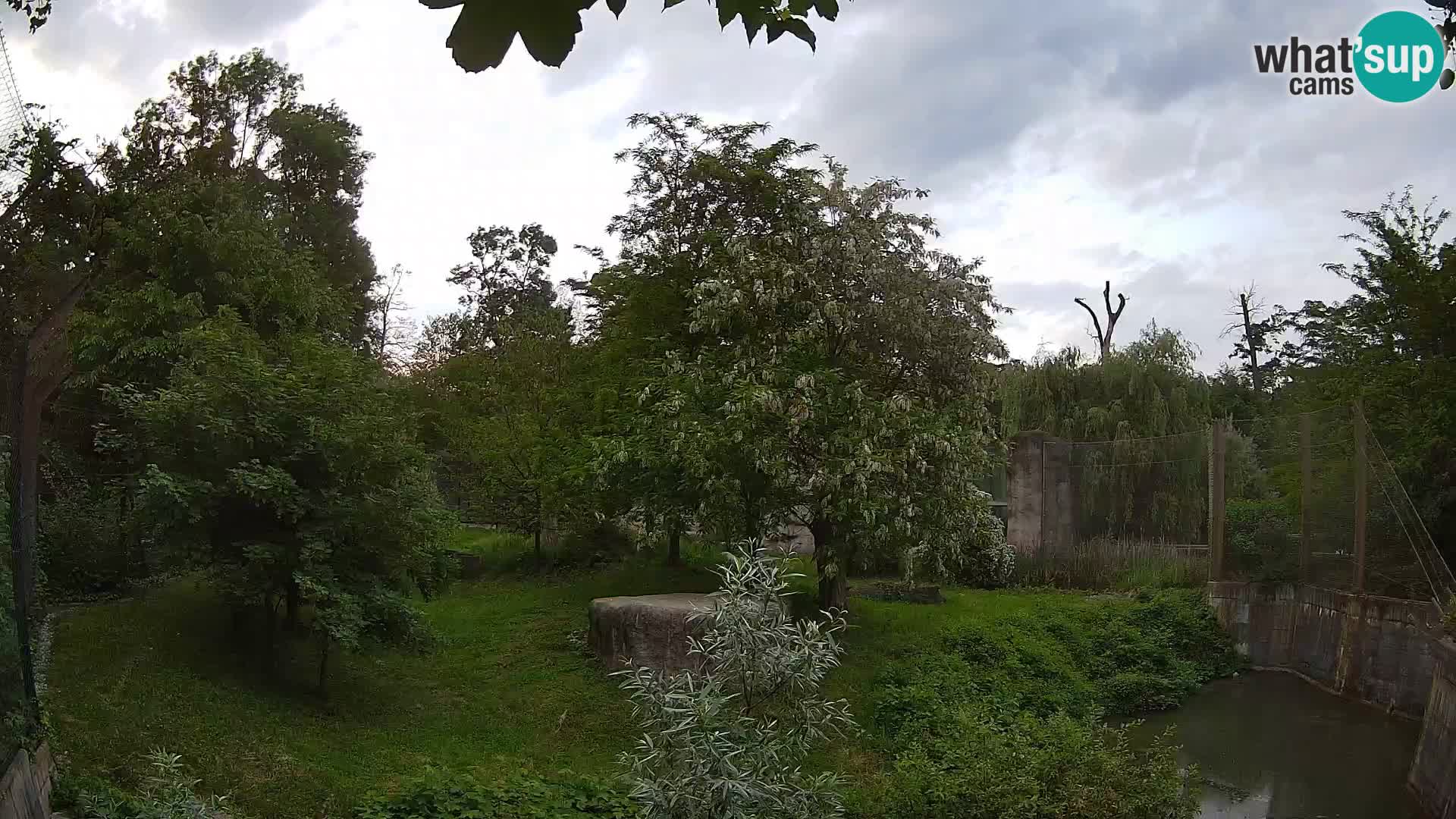 Zoo Zagreb – Leoni