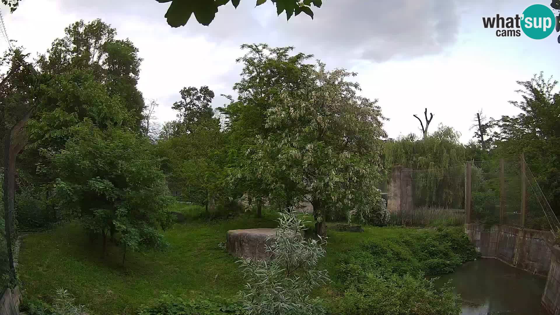 Zoo Zagreb – Lavovi