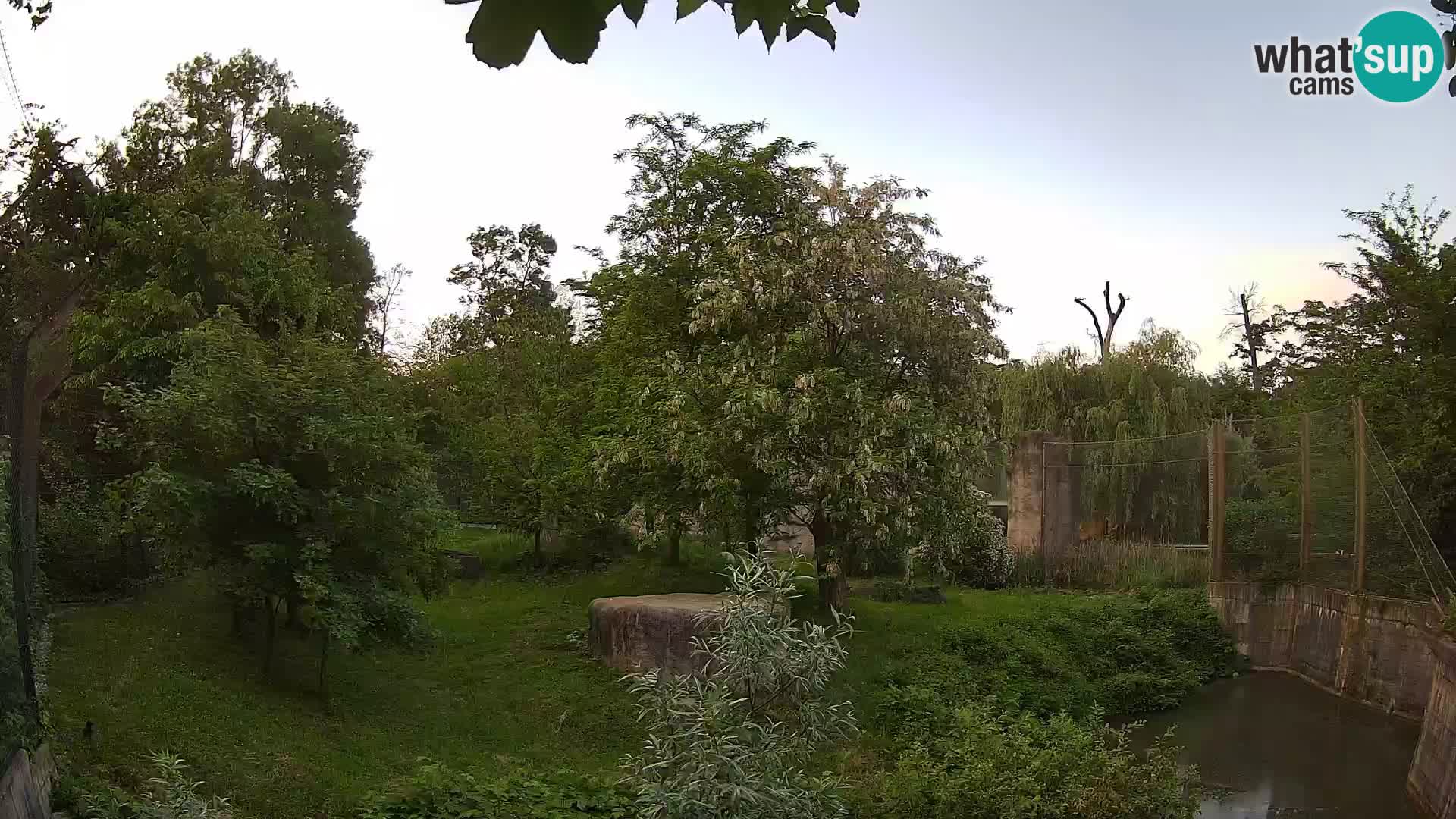 Zoo Zagreb – Leoni