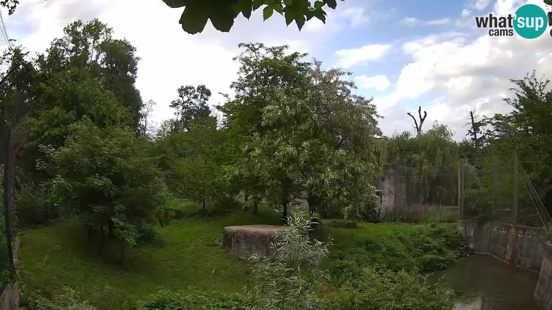 Zoo Zagreb – Leoni