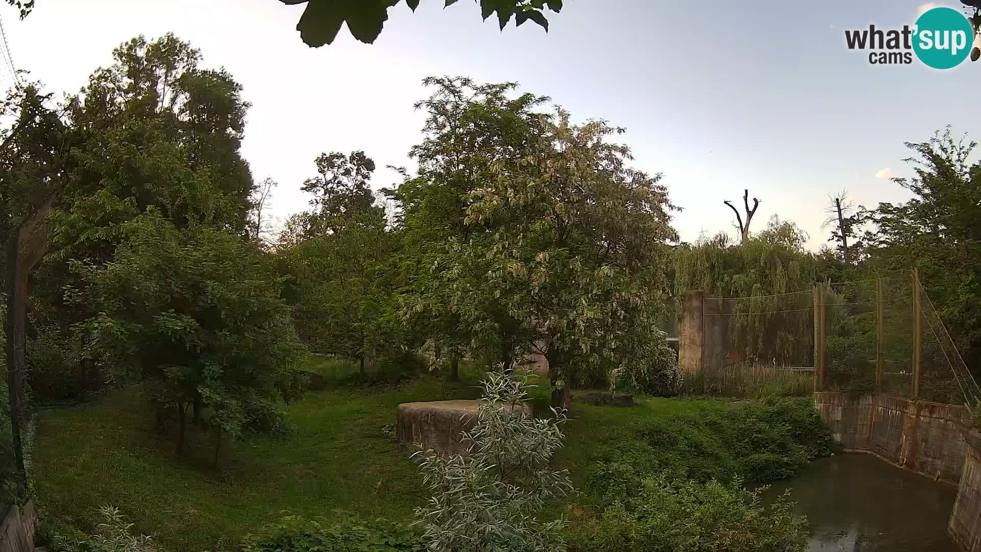 Zoo Zagreb – Leones