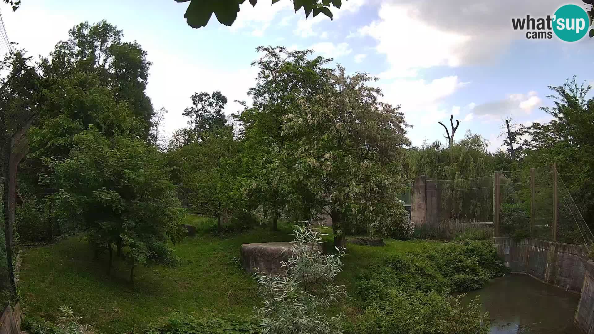 Spletna kamera Zoo Zagreb – Levi