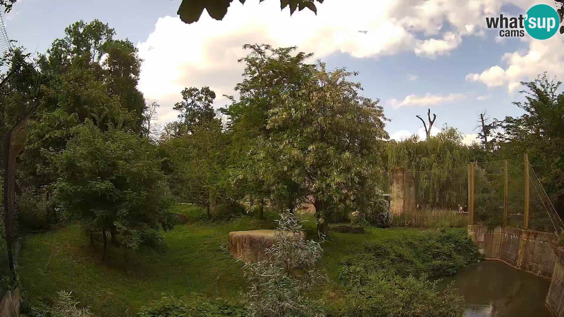 Zoo Zagreb – Lavovi