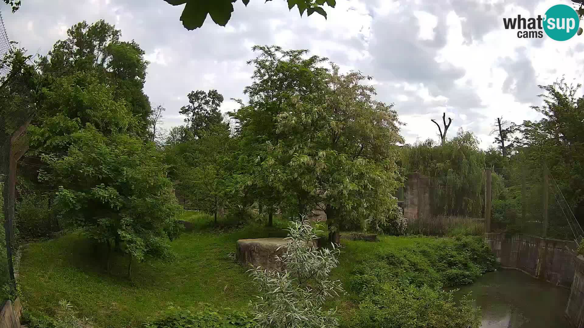 Zoo Zagreb – Lion