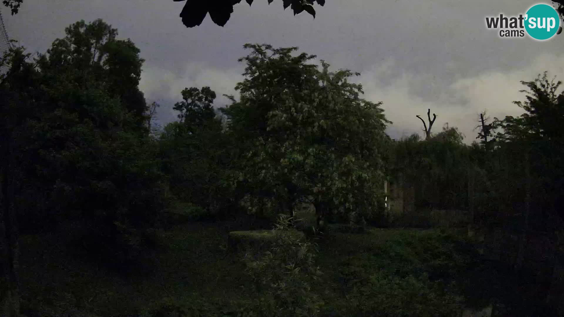 Zoo Zagreb – Löwen