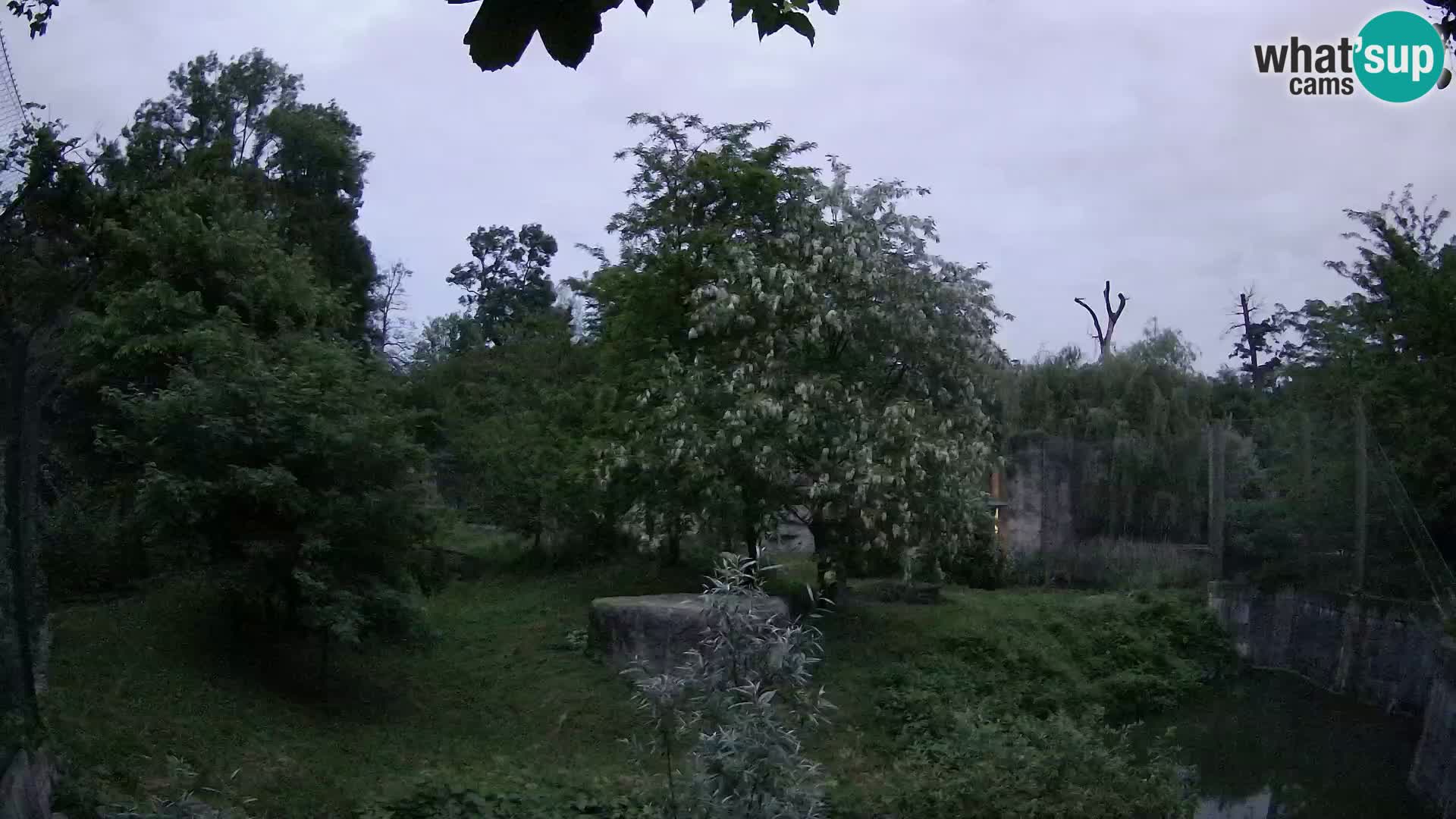 Zoo Zagreb – Löwen