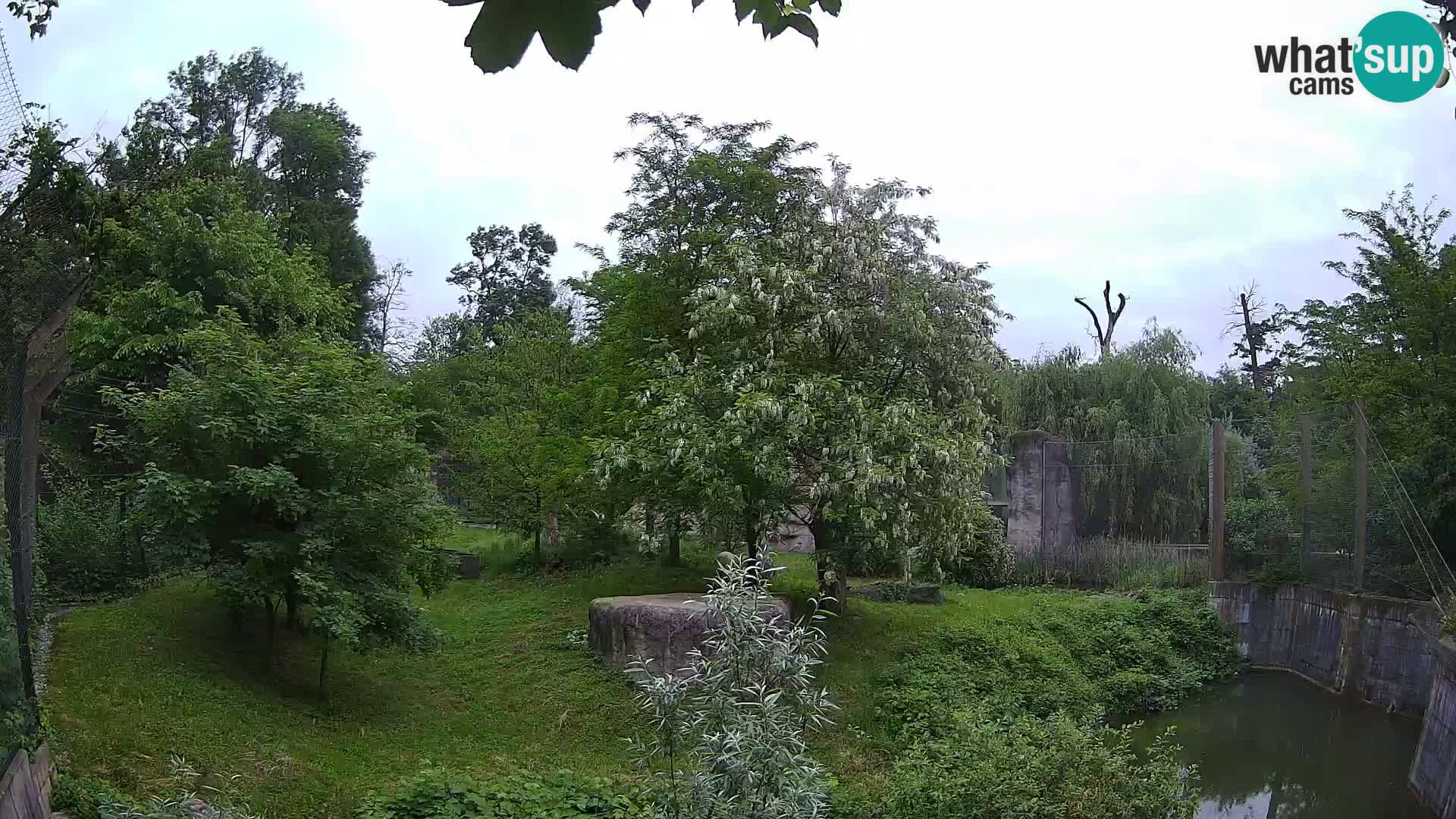 Zoo Zagreb – Leones