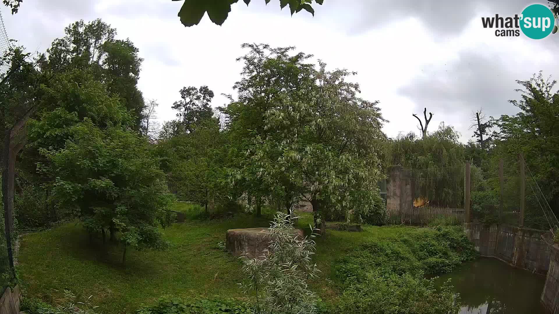 Zoo Zagreb – Leoni