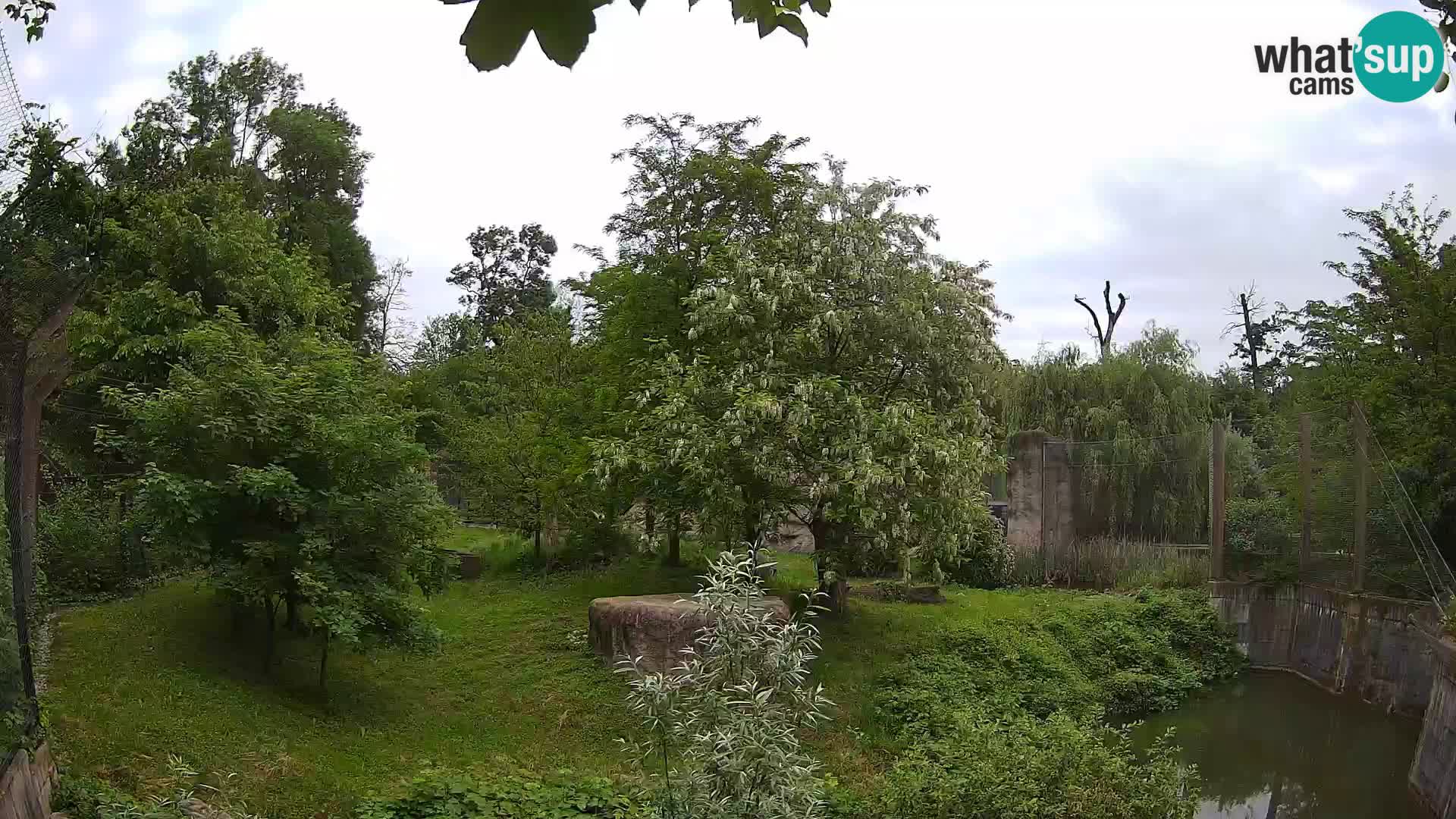 Zoo Zagreb – Leones